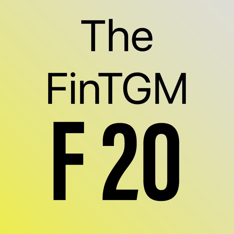 FinTGM